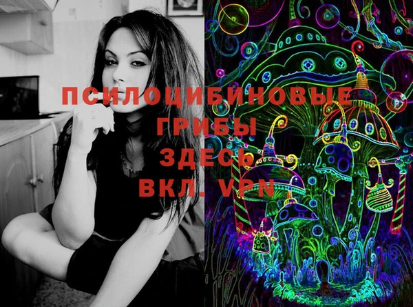МДМА Белокуриха